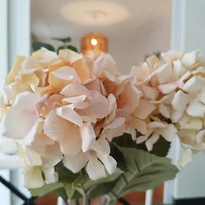 https://railway-by-staynnapartments.sansebastianhotels.net